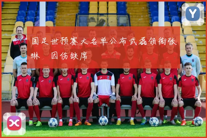 国足世预赛大名单公布武磊领衔张琳芃因伤缺席